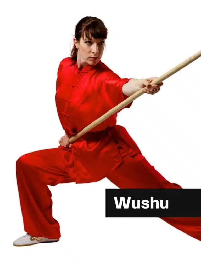 Wushu
